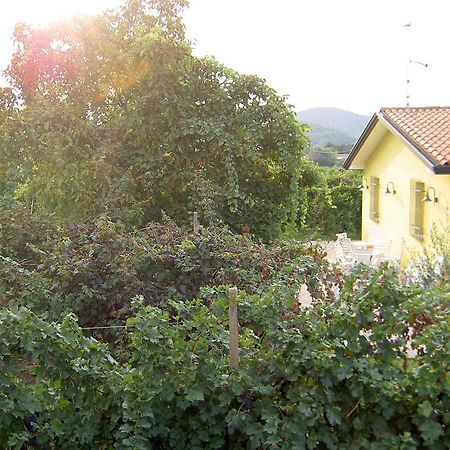 Agriturismo Monteortone Abano Terme Luaran gambar